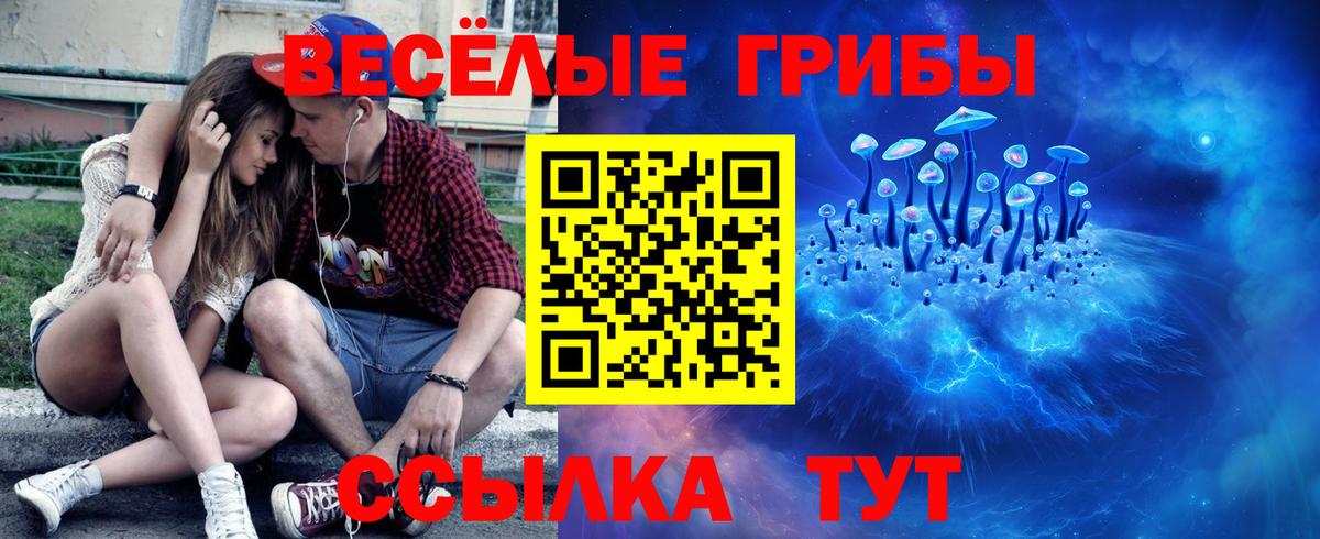 Галлюциногенные грибы прущие грибы Чайковский