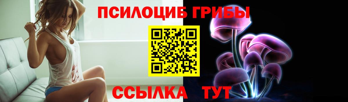 Псилоцибиновые грибы Psilocybine cubensis  Вход с VPN  Чайковский  Галлюциногенные грибы мицелий 
